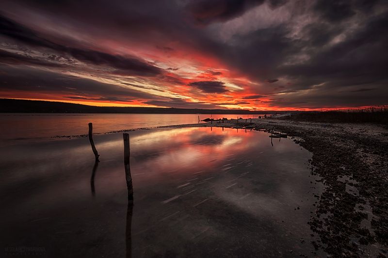 Огоньphoto preview