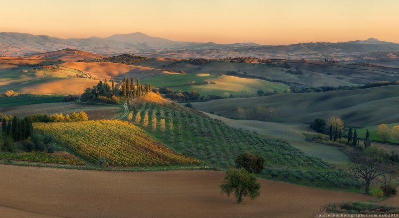 европа, италия, тоскана, тосканский, орча, пейзаж, панорама, туман, красота, страна, кипарис, рассвет, ферма, дом, поле, сад, холм, холмы, дом, итальянский, легкий, утро, загадочный, природа, дорога, провинция, декорации, живописный, восход, дерево Италия. Тоскана. Вечерний свет в долине Val d\'Orciaphoto preview