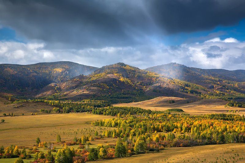 Грибной дождик... Южный Урал.photo preview
