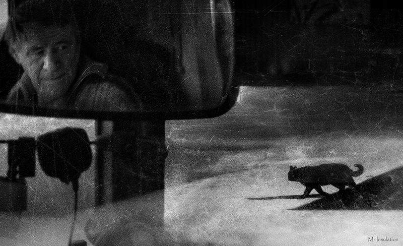 Run Overphoto preview