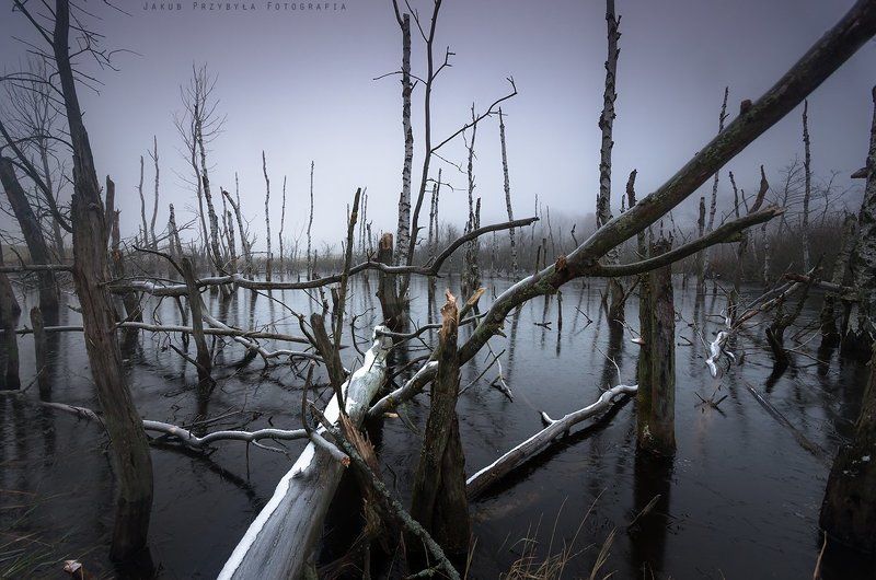 Jakub przybyla, Pentax, Poland, Winter Frosty morningphoto preview