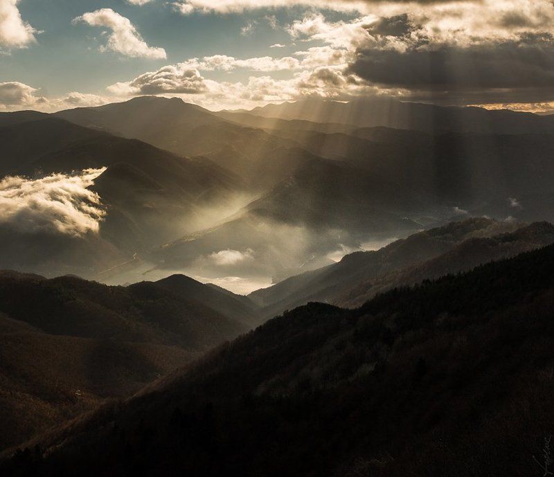 Родопиphoto preview