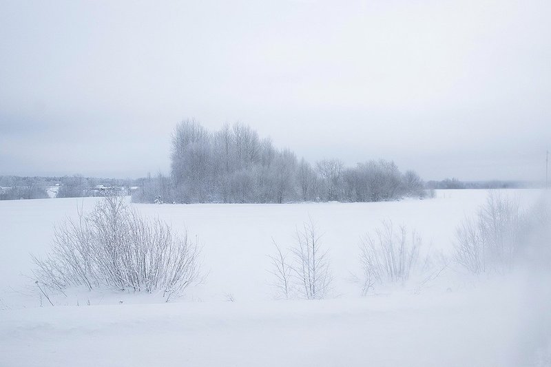 Вологодская зимаphoto preview