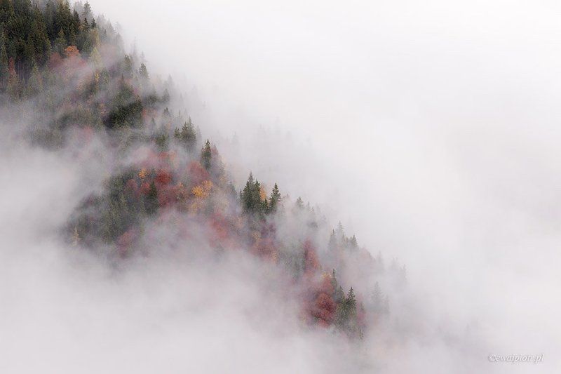 Bavarian autumnphoto preview