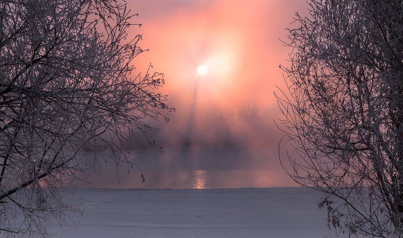 В лучах зимнего солнцаphoto preview