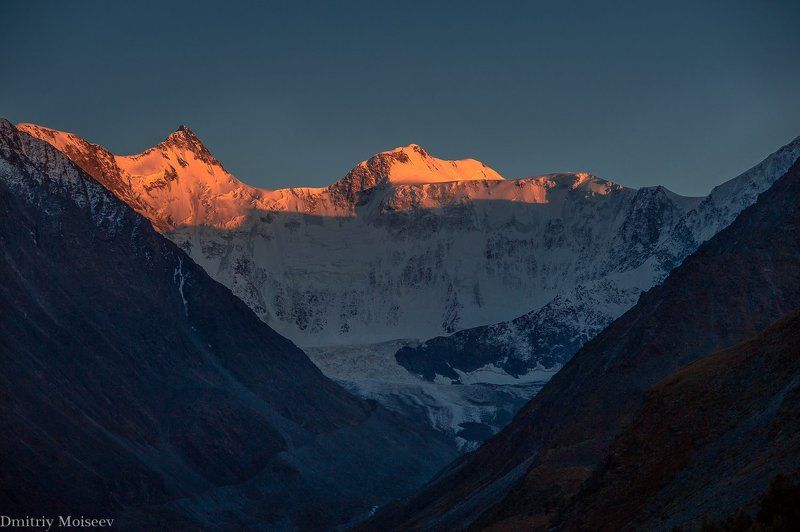 Белухаphoto preview