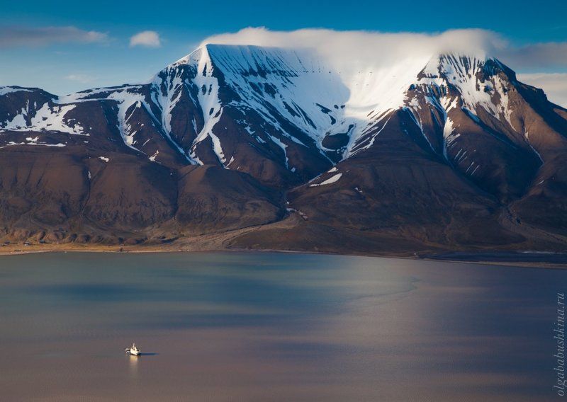 Арктикаphoto preview