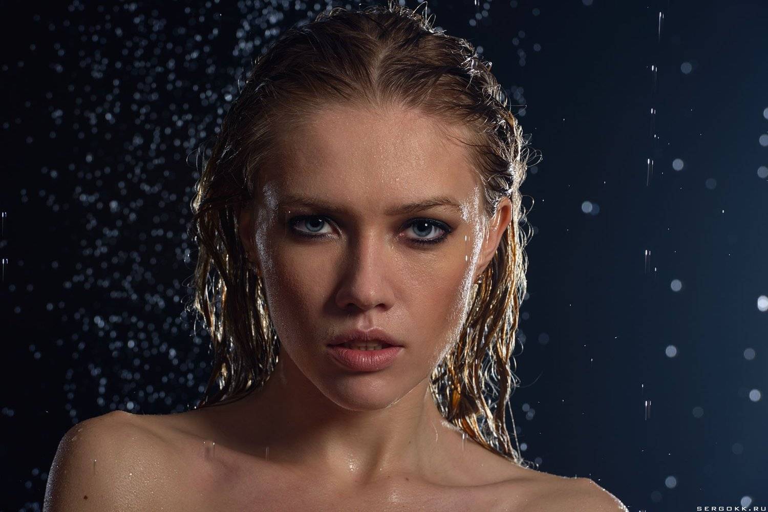 Автор: Сергей Гокк , Сергей Гокк