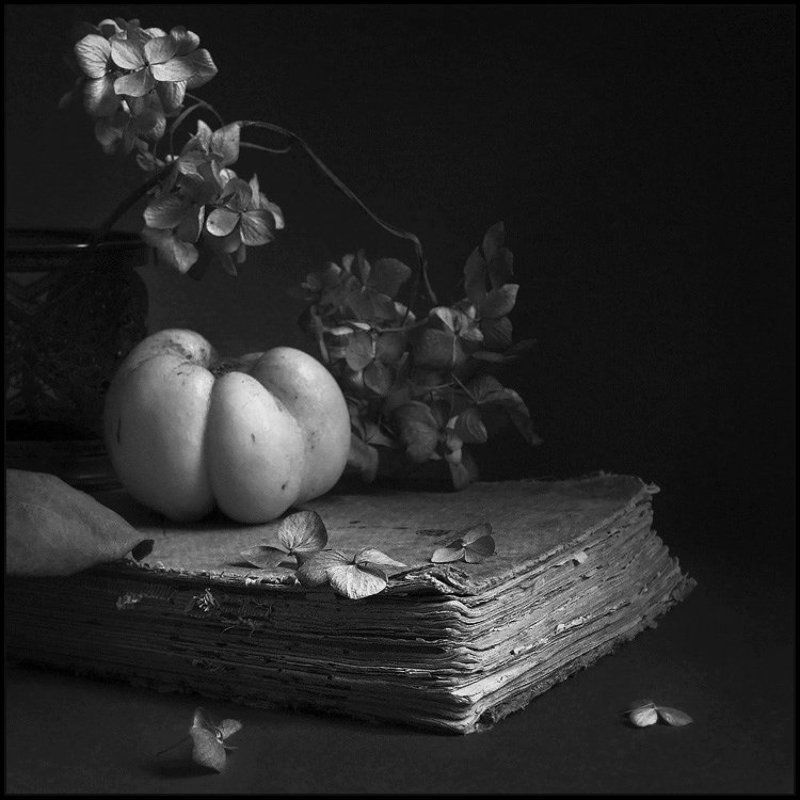 АЙВАphoto preview