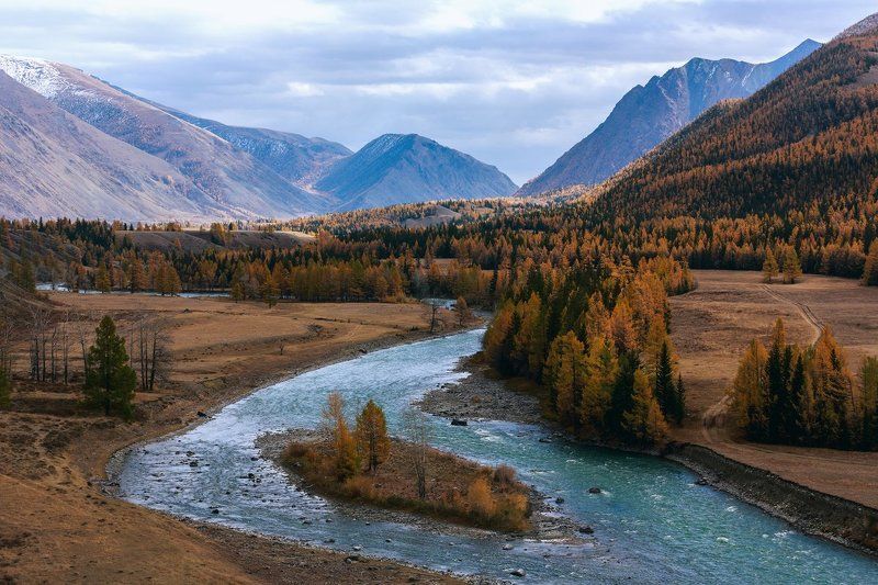 Чаган-Узуновские воспоминанияphoto preview