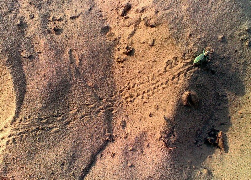 Марсоход...photo preview