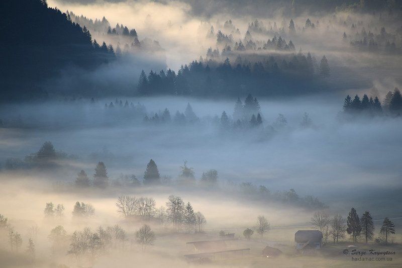 fog, foggy, slovenia, landscape, morning Once upon a time at foggy morningphoto preview