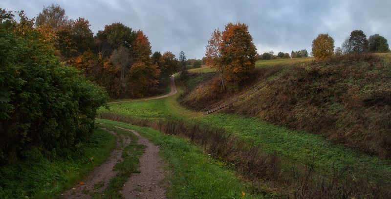Осень Тригорское Пушкинские Горы Псковская область Осенними дорожкамиphoto preview