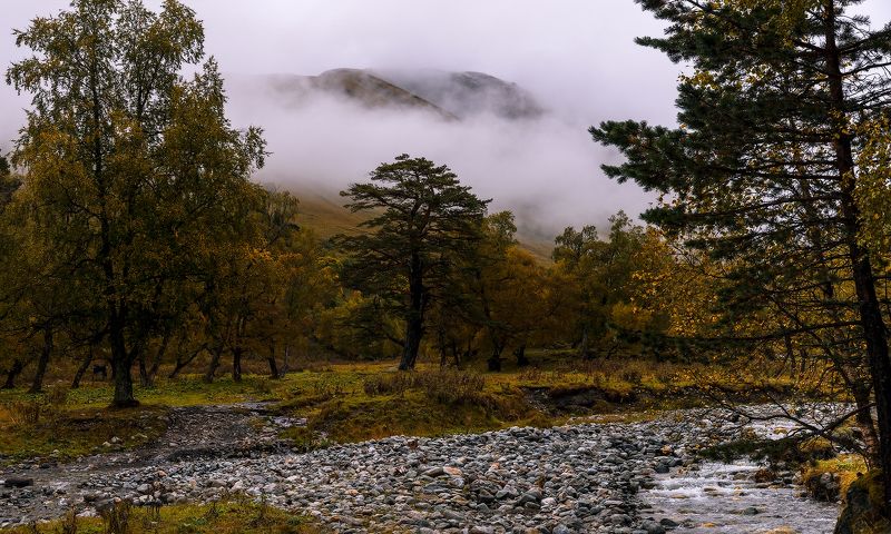 Туман - это когда облака на землеphoto preview