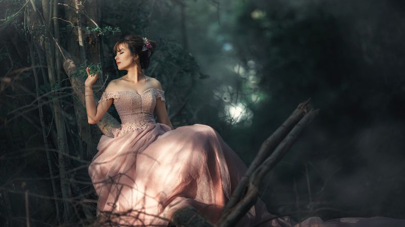 Vietnam Dressphoto preview