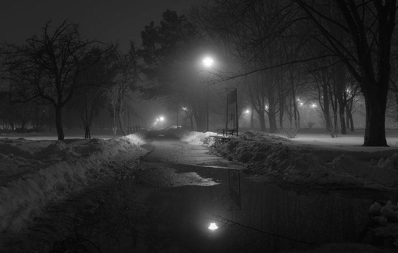 В туманной тишинеphoto preview