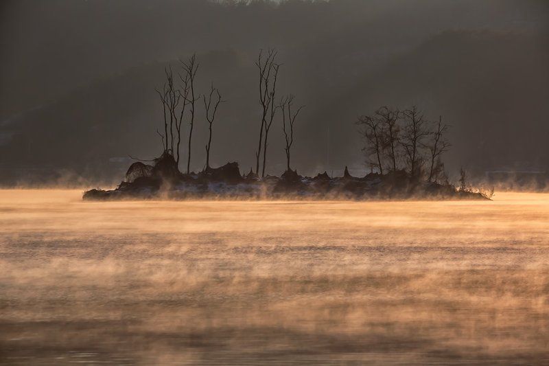 Wet Fogphoto preview