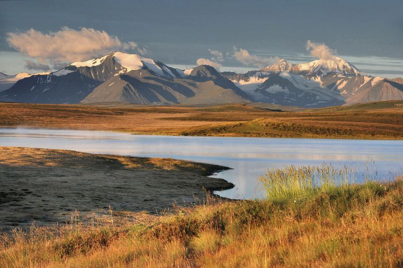 укок утренний Кальджинкольphoto preview