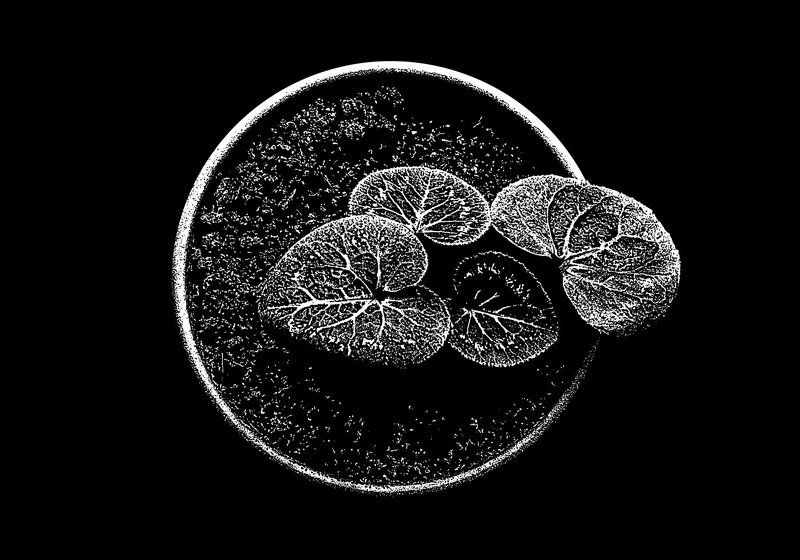 Графикаphoto preview