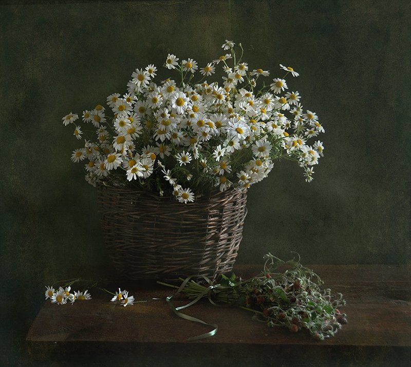 лето, лукошко, ромашки Лета полное лукошко...photo preview