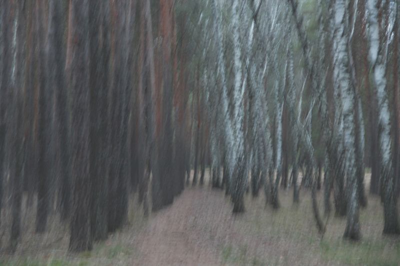 Пастельphoto preview