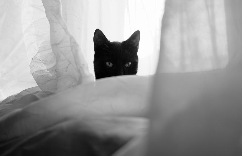 #Ozon  #cataclysm  #ninja  #escatology Ozonphoto preview