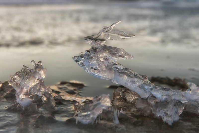 ГАЗ-21photo preview