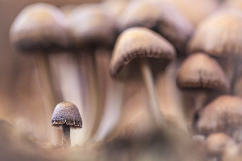 Малышphoto preview