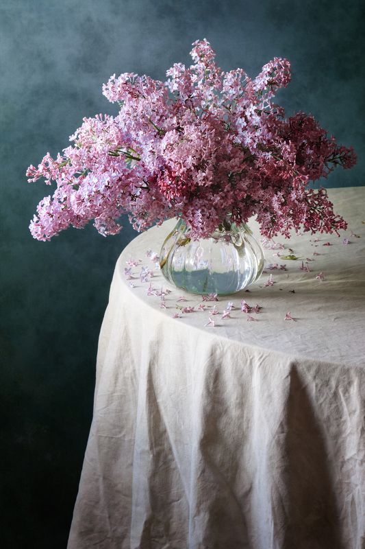 Цветочный, натюрморт, простой, букет, пурпурный, сирень, стеклянный, ваза, мятый драпировка, холодный, синий, дневной, свет, весна, домашний, интерьер Сиреньphoto preview