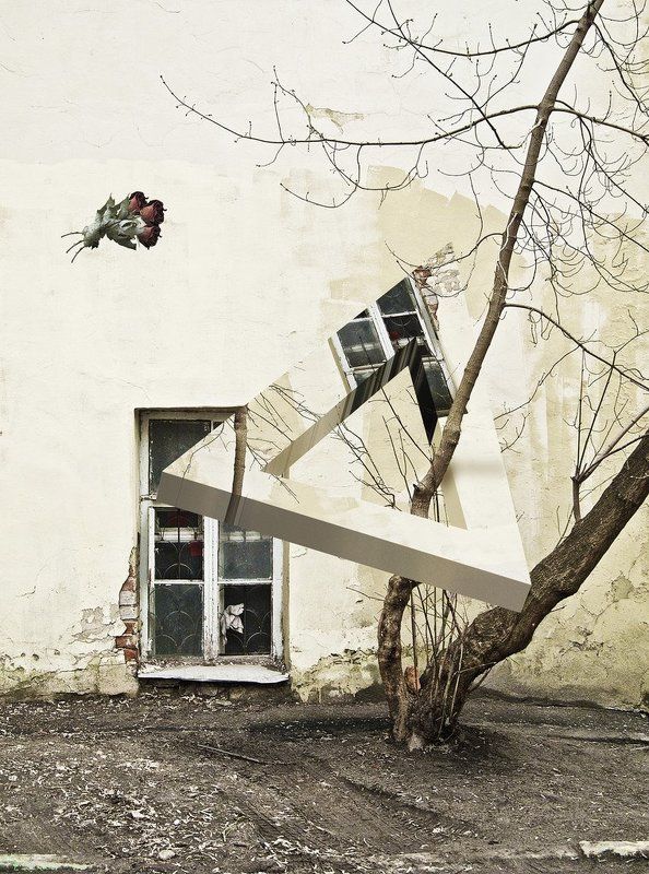 Семена мертвыхphoto preview