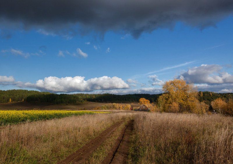 Поле трава колея цветы избушка склоны лес небо туча Темные силыphoto preview