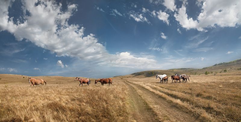 Караби-яйла фото превью