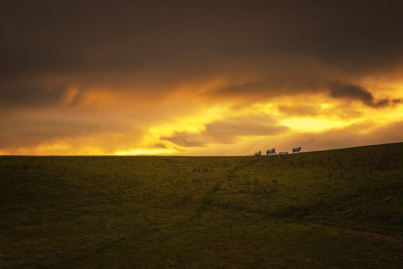 Вечерние прогулки!photo preview
