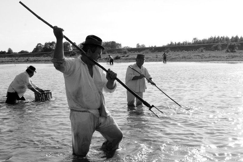 On the Sava Riverphoto preview