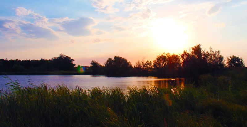 Чапуркаphoto preview