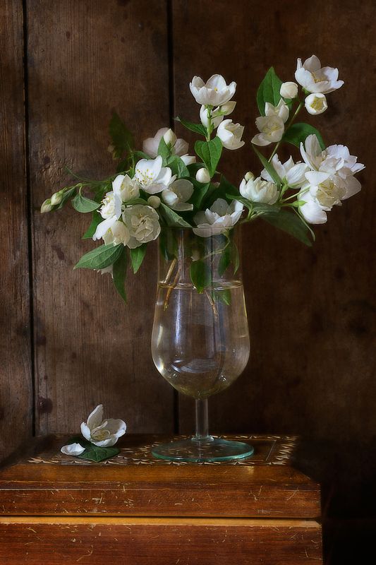 Цветочный, натюрморт, простой, букет, белый, жасмин, стакан, деревянный, дневной, свет, лето, деревня Жасминphoto preview