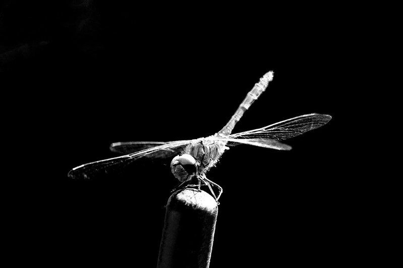 Под солнцемphoto preview