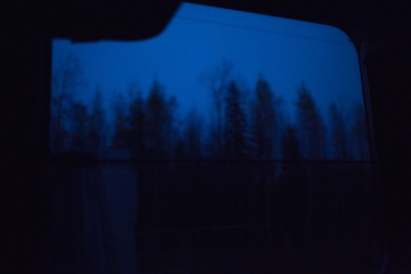 Романтика леса из едущего поездаphoto preview