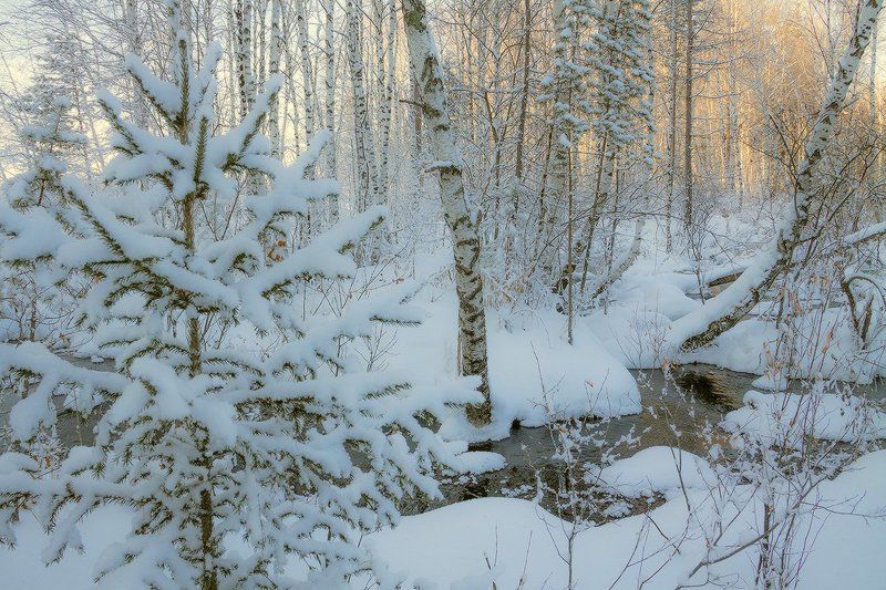 Незамерзающий ручейphoto preview