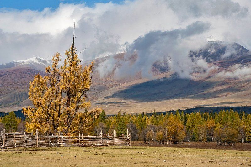 осень, облака, свет, тени, радуга, курайская степь, курайский хребет, горный алтай Pro облачные этюды Курайской степиphoto preview