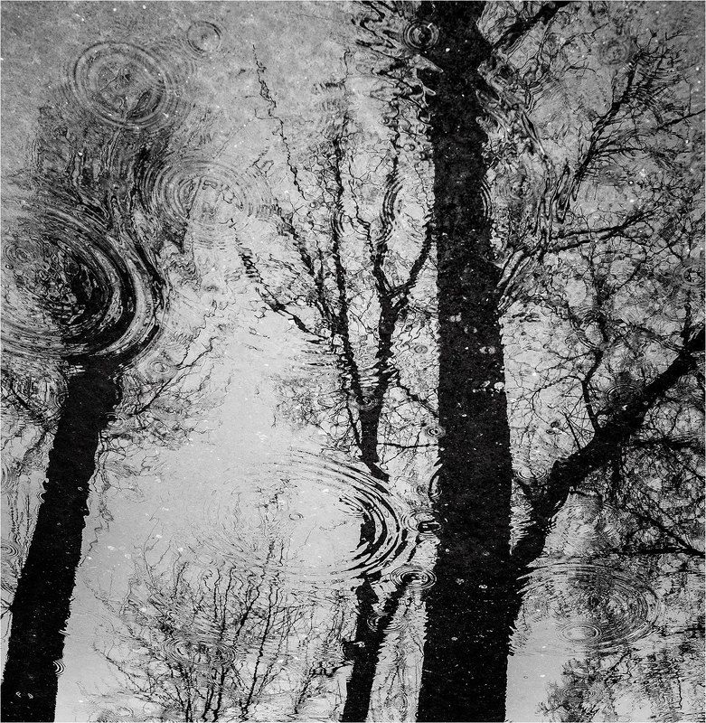 фото фото превью