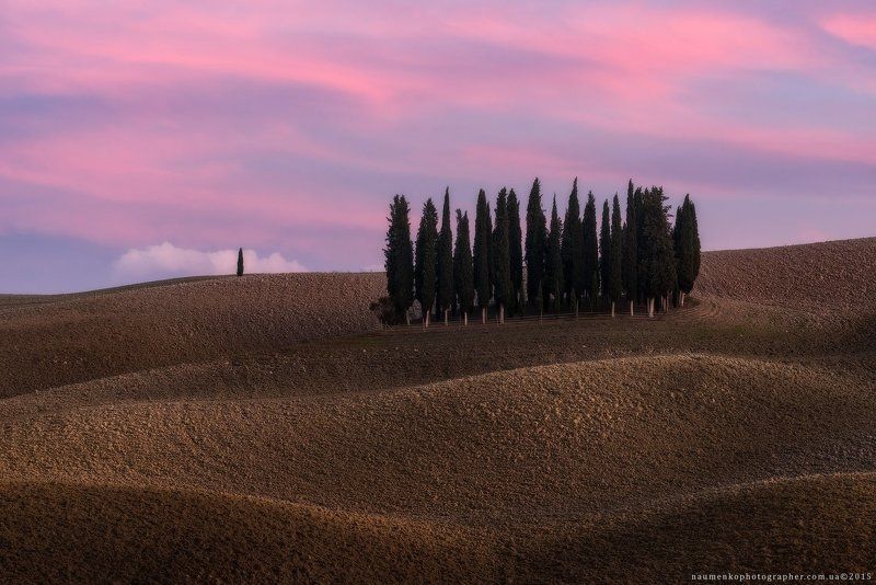 Италия. Тоскана. Кипарисовый остров на закате в San Quirico d\'Orciaphoto preview