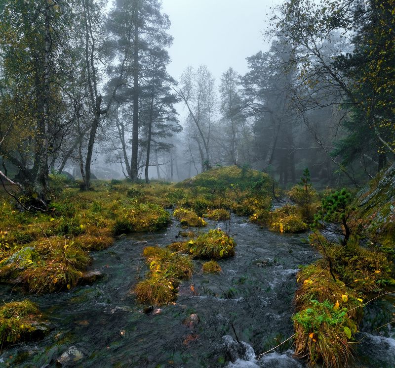 Река из тумана...photo preview