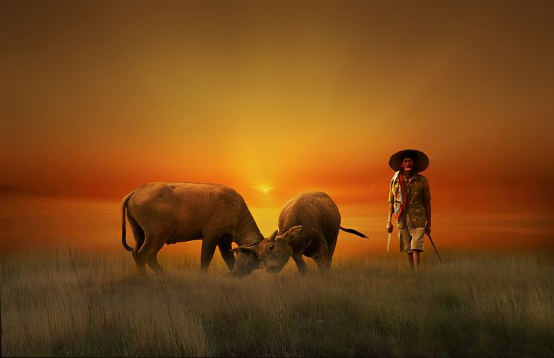 nature artphoto preview