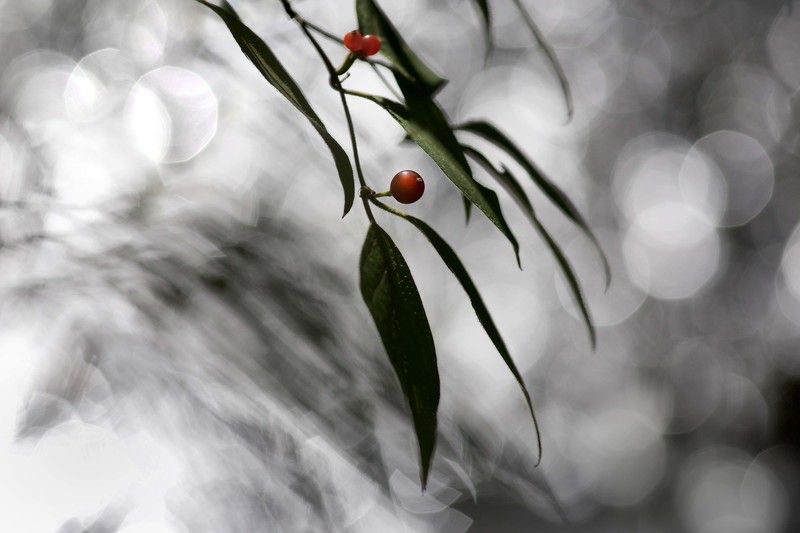 Речные отраженияphoto preview