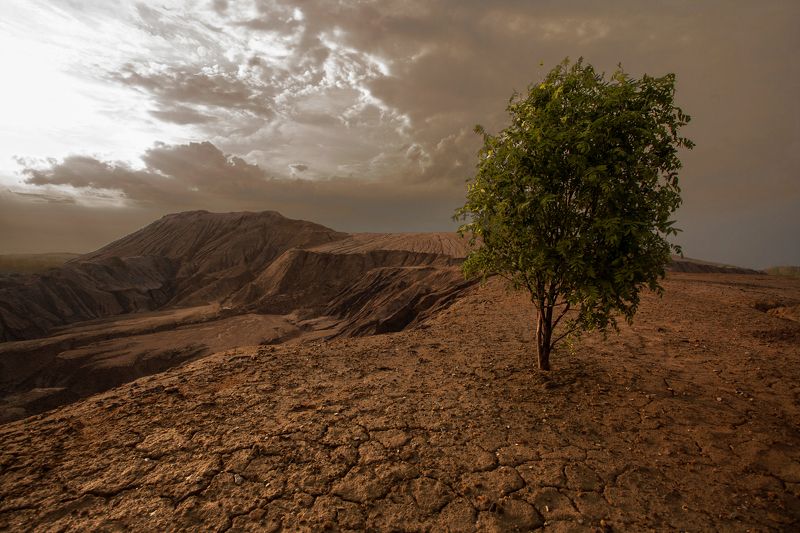 Третий деньphoto preview