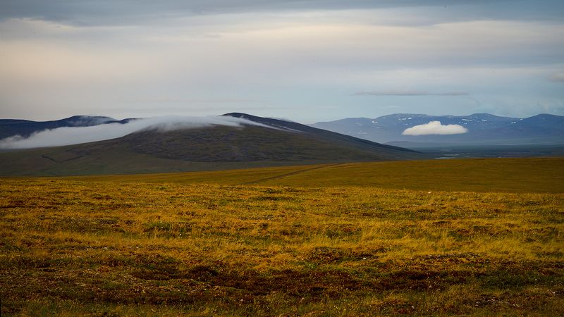 север, тундра, сопки, чукотка, пейзаж, природа, облака, небо, Тучки спать ложились...photo preview