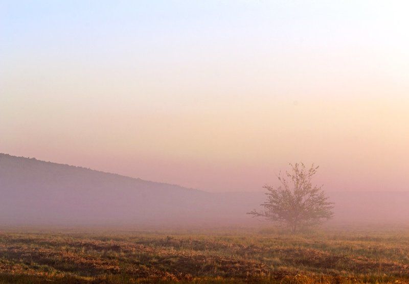 утро, туман, покосы ***photo preview