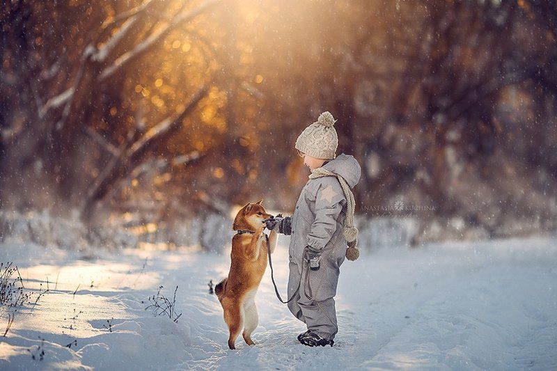 Два другаphoto preview