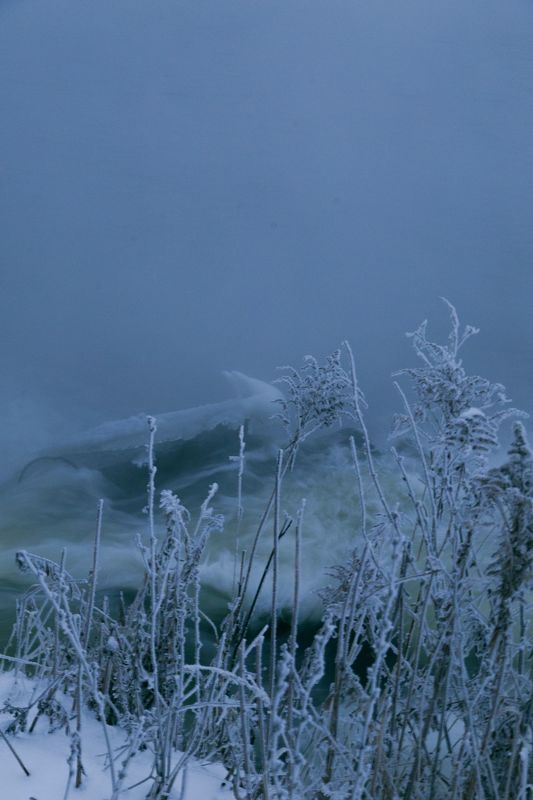 зима, снег, туман, утро, горячка, пейзаж, красота Горячкаphoto preview